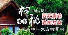 一线白虎逼视频
