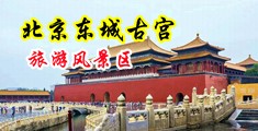 操逼射美女视频中国北京-东城古宫旅游风景区