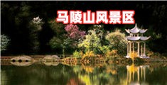 日本女人男人17美B