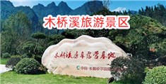 国产乱伦插B