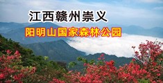 逼com